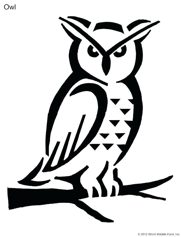 614x799 Owl Drawing Template