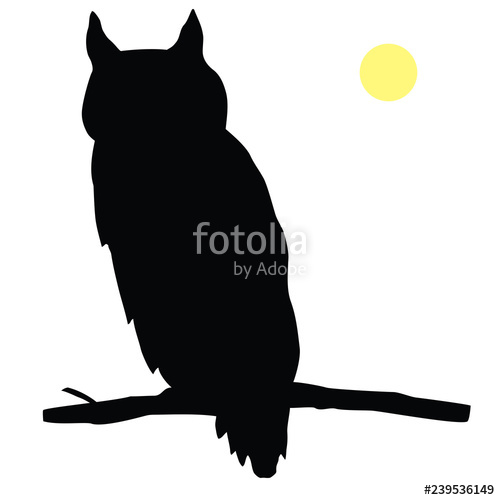 500x500 Animals Sitting Owl Silhouette On A Tree Branch Stock Image