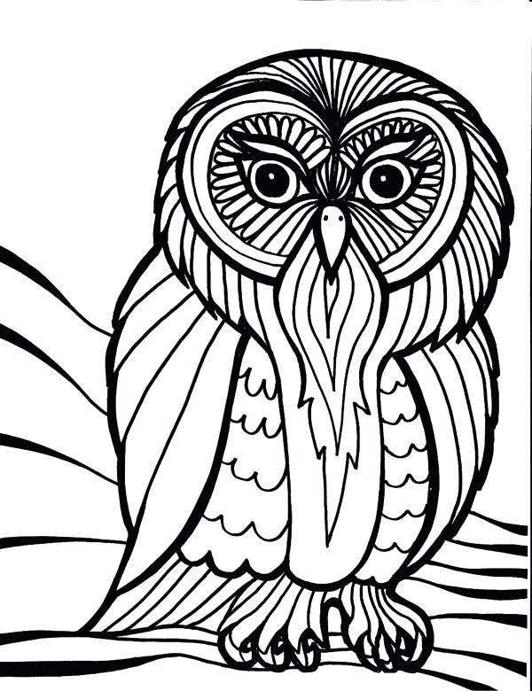 600x780 owl template printable cartoon outline drawing purdue