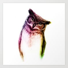 Owl Pencil Drawing