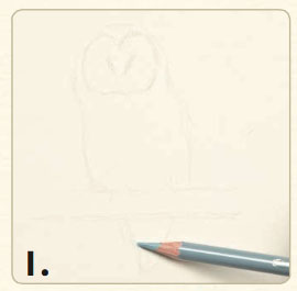 270x265 How To Draw An Owl In Colored Pencil Quarto Knows Blog
