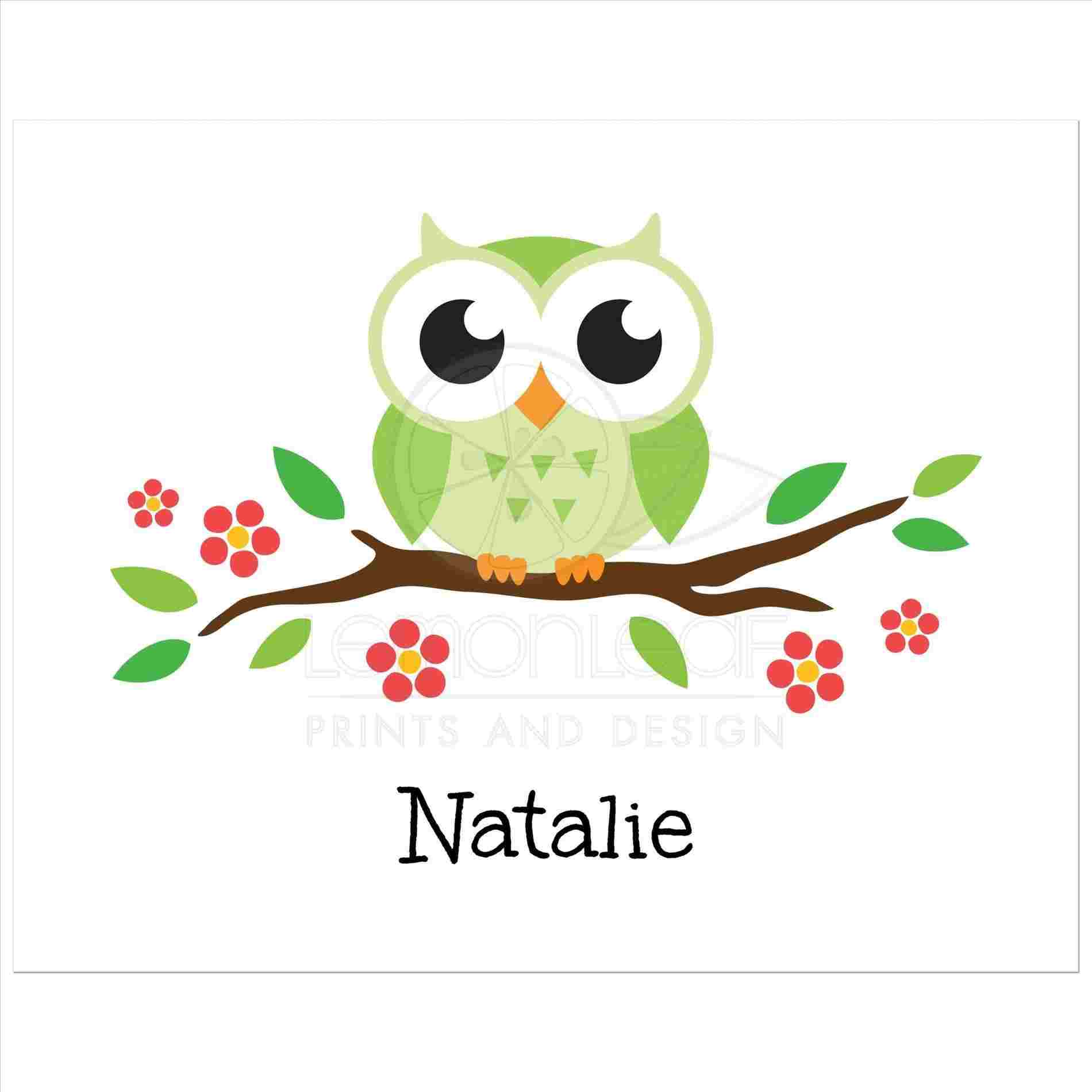 1900x1900 Adorable Cartoon Owl Drawing