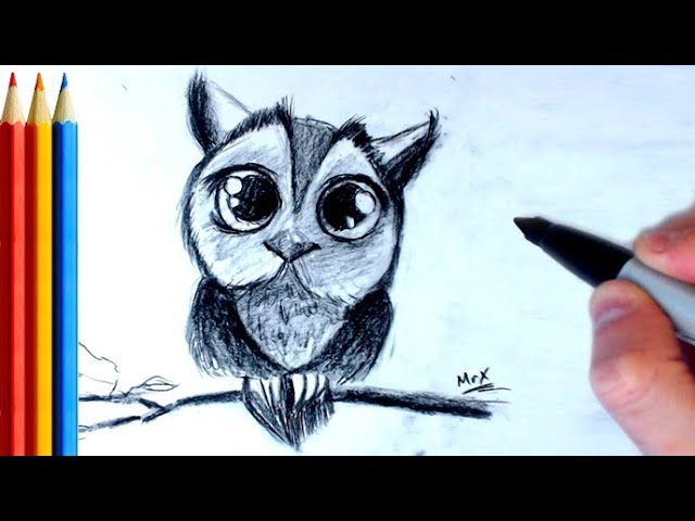 640x480 How To Draw An Owl With Shading