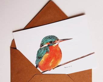 340x270 Screech Owl Little Owl Print Of A Colour Pencil Drawing Etsy