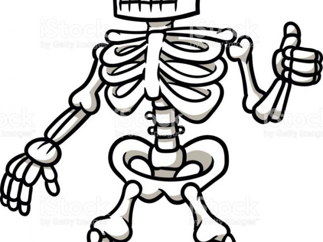 640x480 Free Drawn Skeleton, Download Free Clip Art