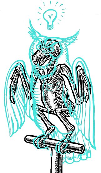 323x550 Skeleton Of An Owl, With Ghostly Overlay Posters