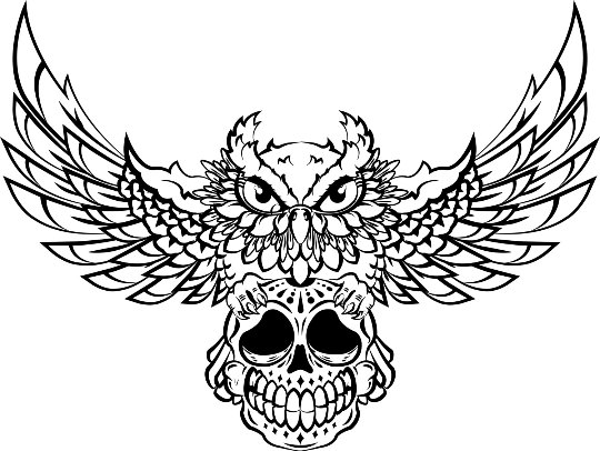 540x406 owl and skull actual size x pes dst hus etsy