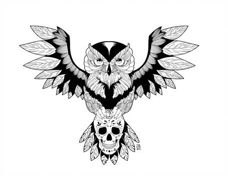 455x350 Owlskull Explore Owlskull