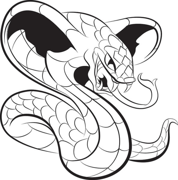 593x600 Owl Tattoo Art Fine Art America