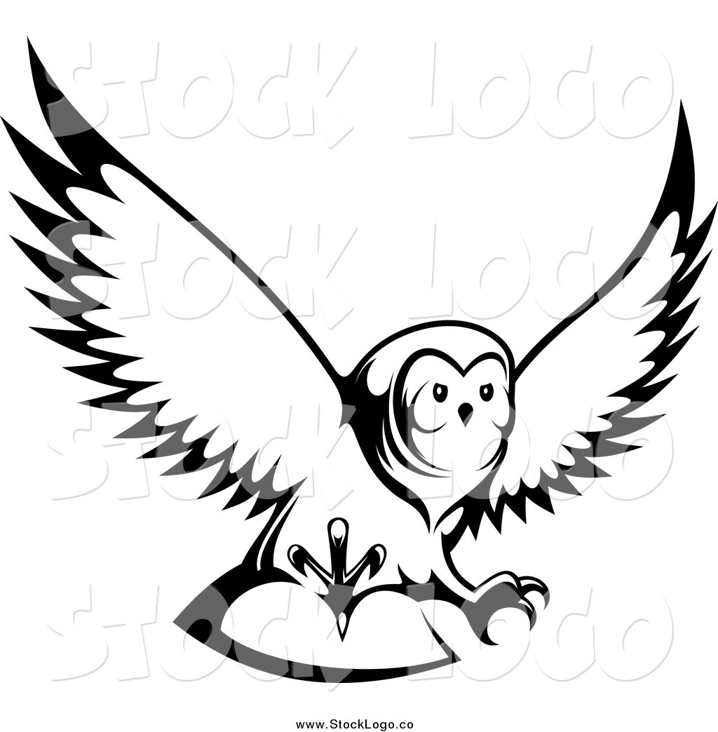 1024x1044 Flying Owl Drawing