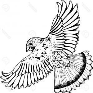 300x300 Owl Flight Outstretched Wings Claws Released Shopatcloth