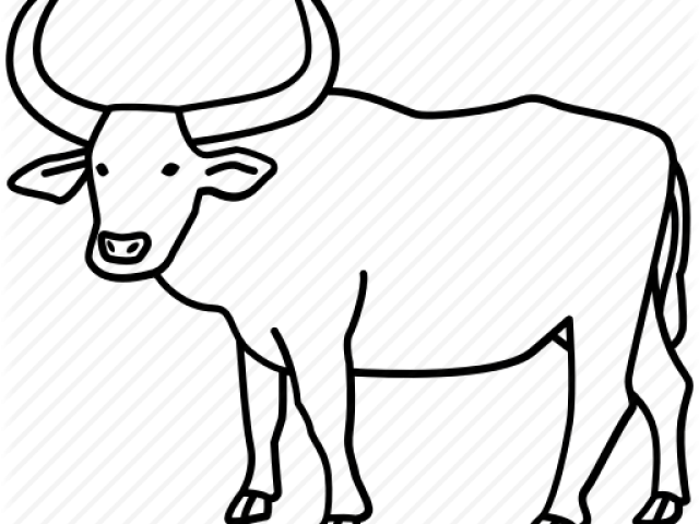 640x480 Free Drawn Ox, Download Free Clip Art