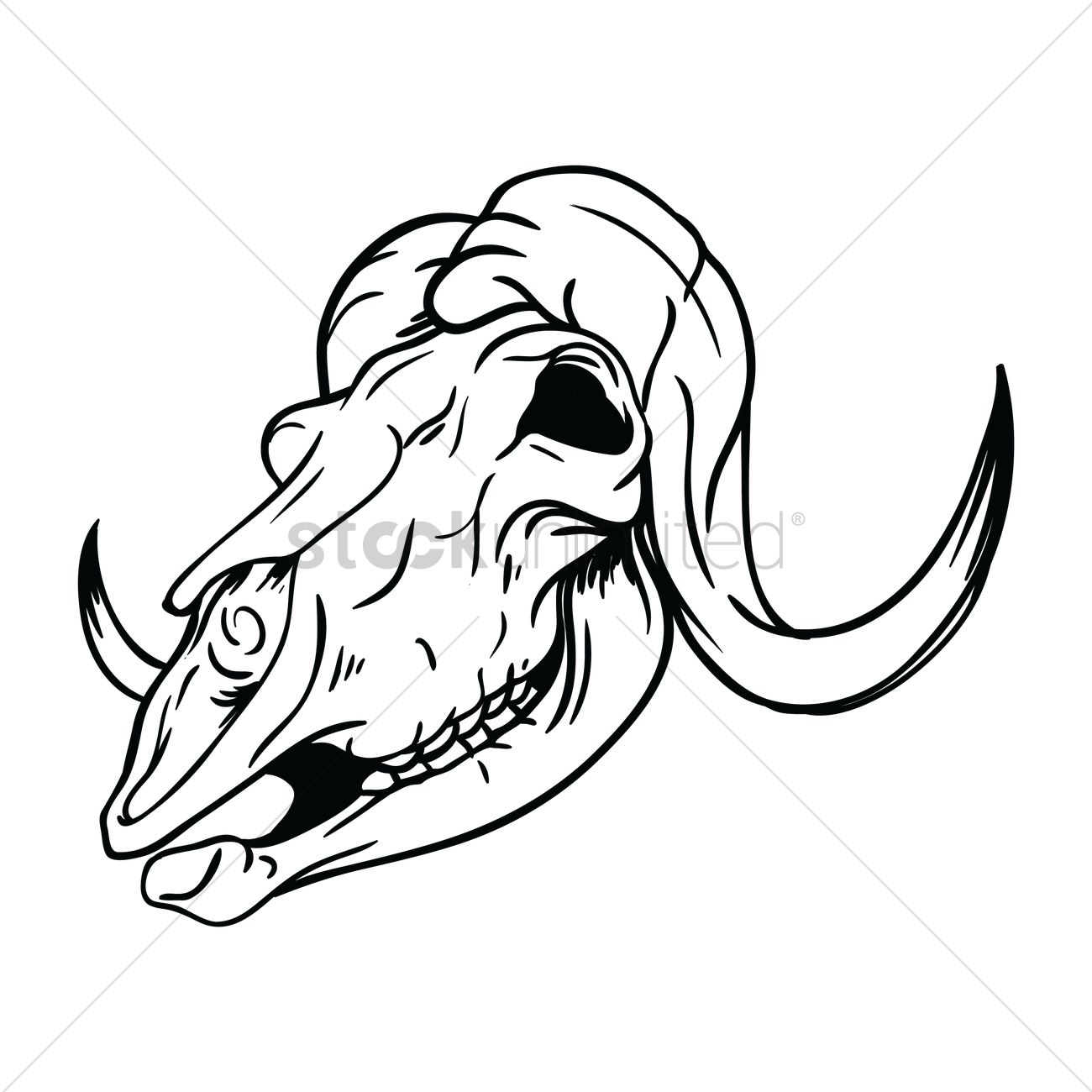 1300x1300 Free Ox Skull Vector Image