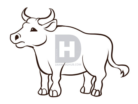 551x415 How To Draw An Ox, Step