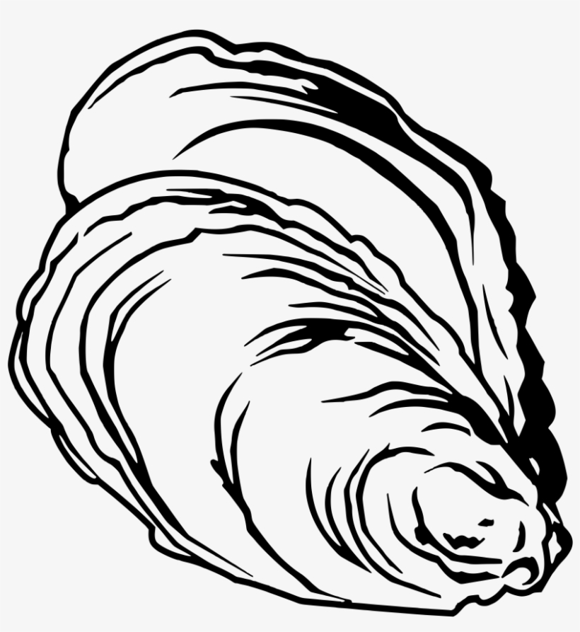 820x893 Download Freeuse Clam Clipart Pearl Drawing
