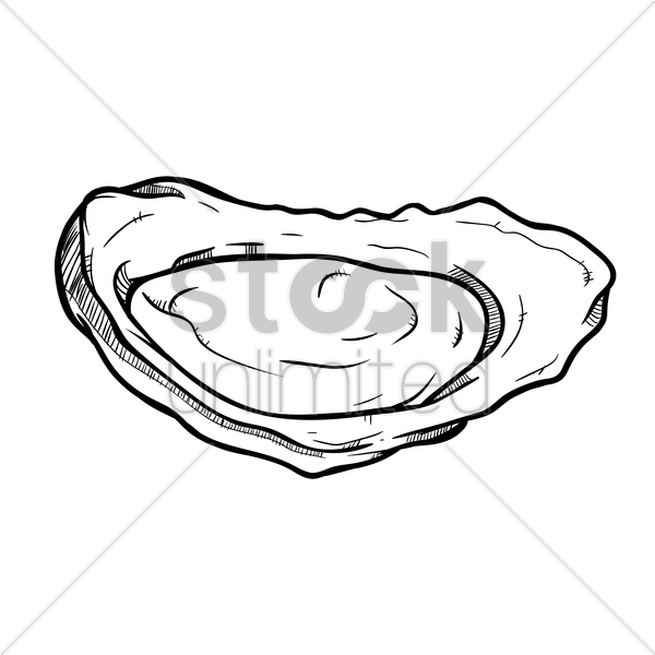 600x600 Opened Oyster Vector Image