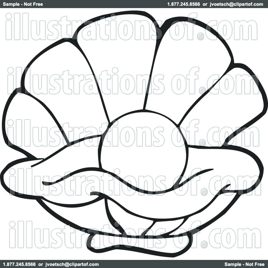 863x863 Clam Drawing Oyster For Free Download