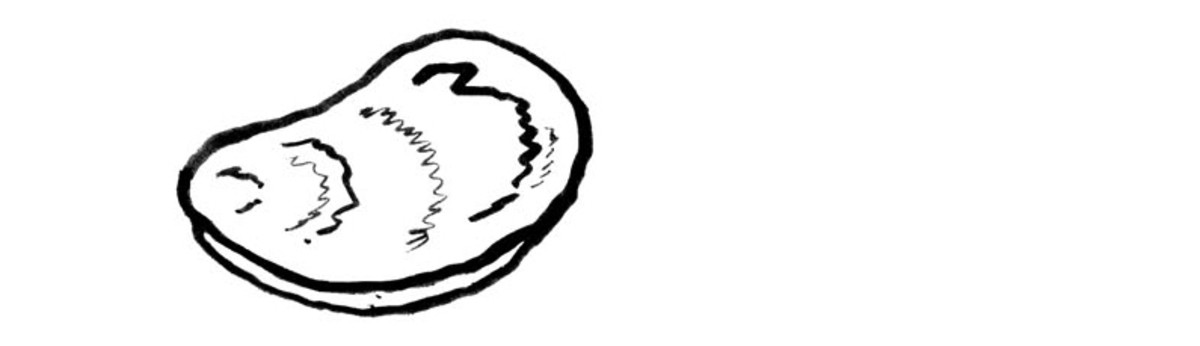 1200x346 How To Shuck Oysters