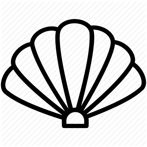 512x512 Huge Collection Of 'oyster Shell Drawing' Download More Than