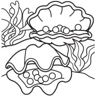 Oyster Pearl Drawing | Free download on ClipArtMag