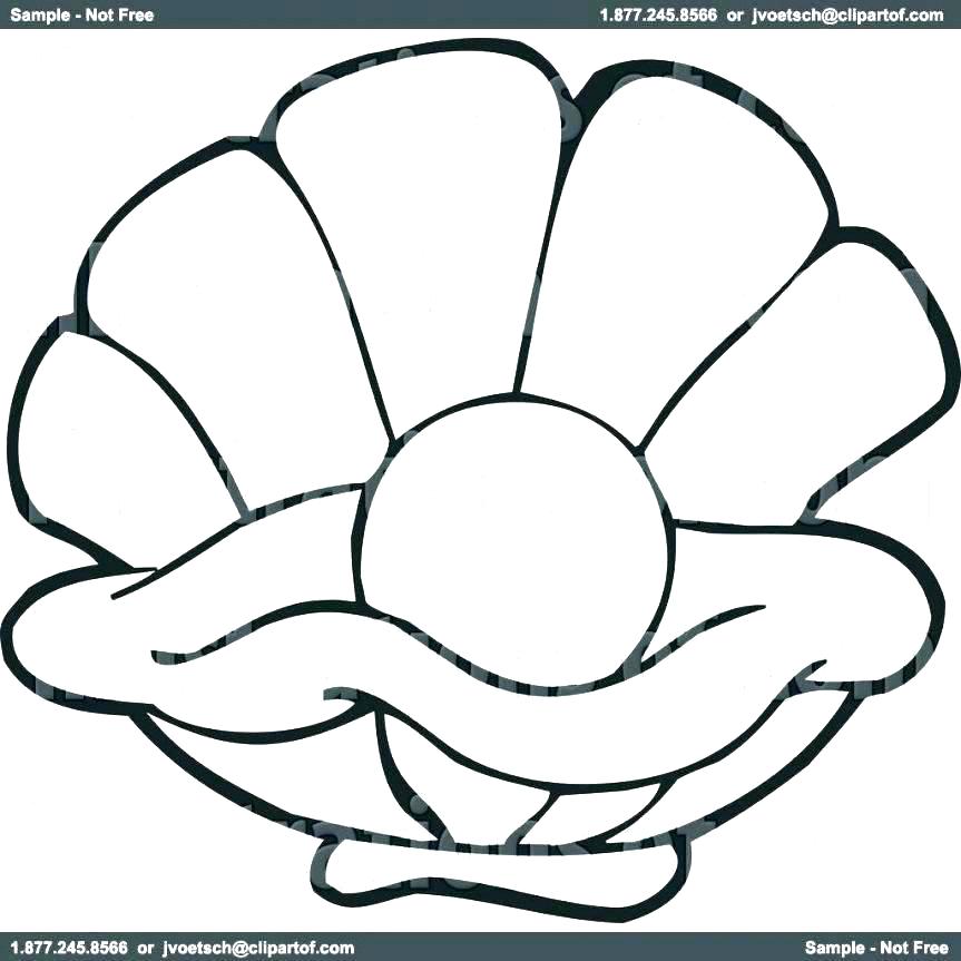 863x863 Clam Coloring