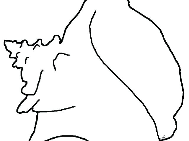 640x480 How To Draw A Shell Draw Shell