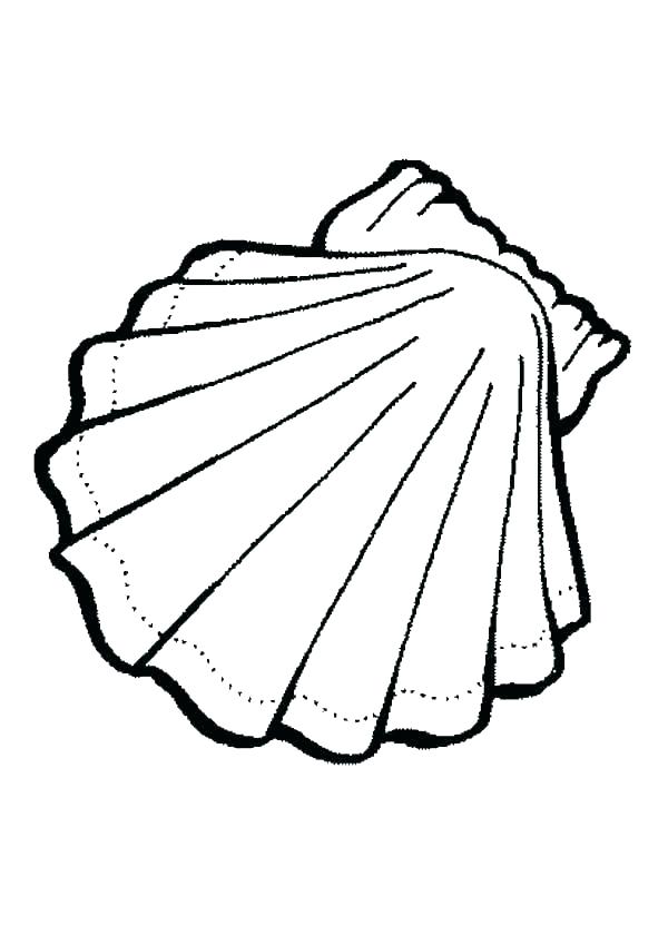 600x849 Incredible Design Ideas Clam Coloring