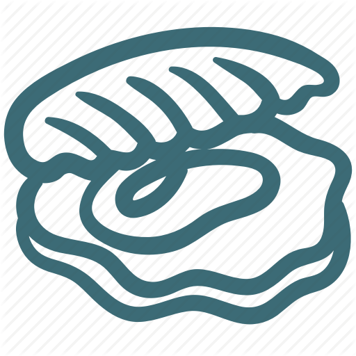 512x512 Scallop Drawing Oyster Shell Frames Illustrations Hd Images