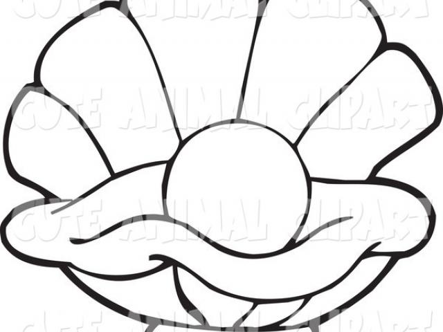 640x480 Shell Clipart Oyster Shell