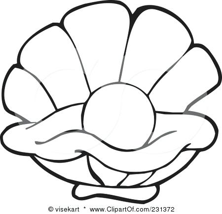 450x435 clam drawing can giant clams see us clam line drawing