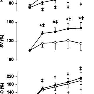 320x320 haemodynamic response