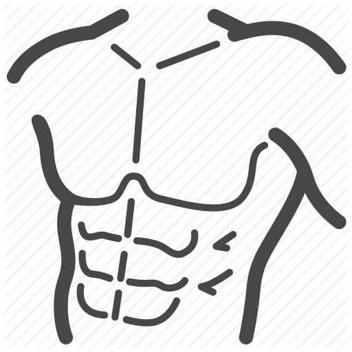 512x512 Collection Of Free Abs Drawing Six Pack Download On Ui Ex