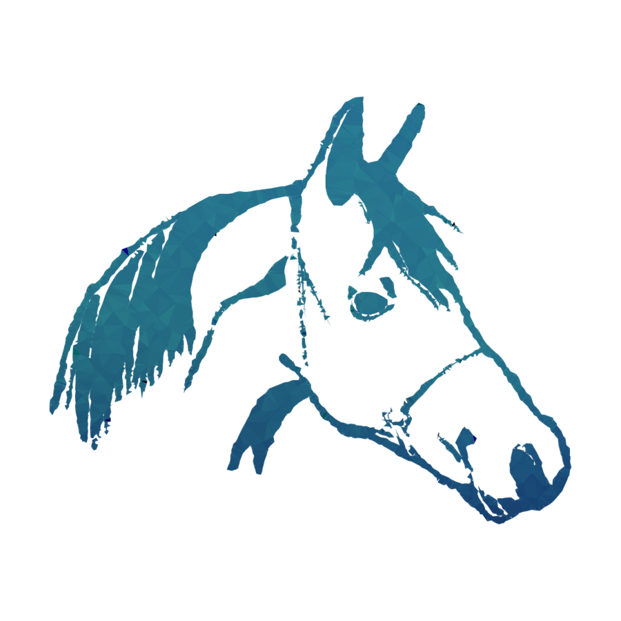 900x900 Illustration, Horse, Head, Transparent Png Image Clipart Free