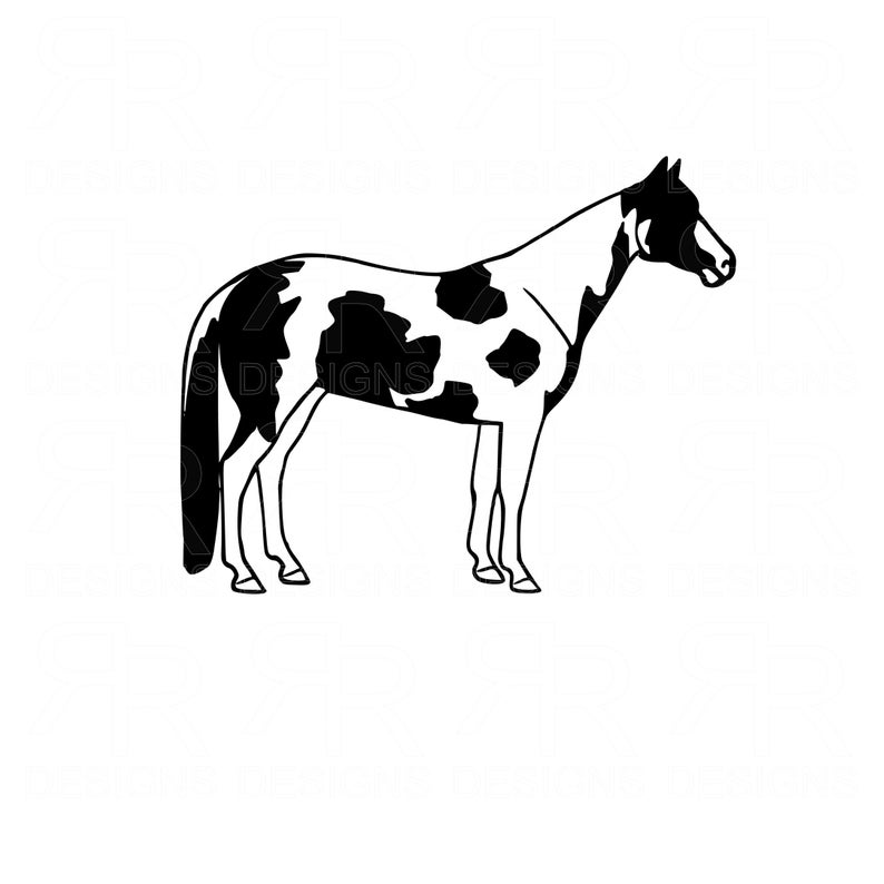 794x794 Paint Horse Clip Art Ranch Horse Apha Paint Horse Etsy