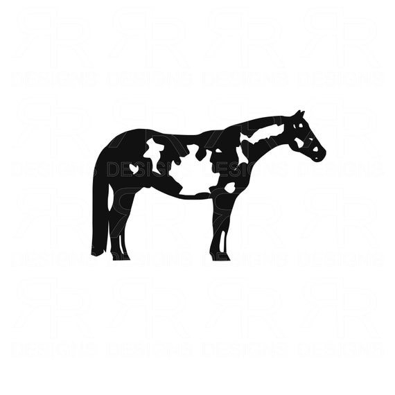 570x570 Paint Horse Gelding Clip Art Ranch Horse Apha Etsy