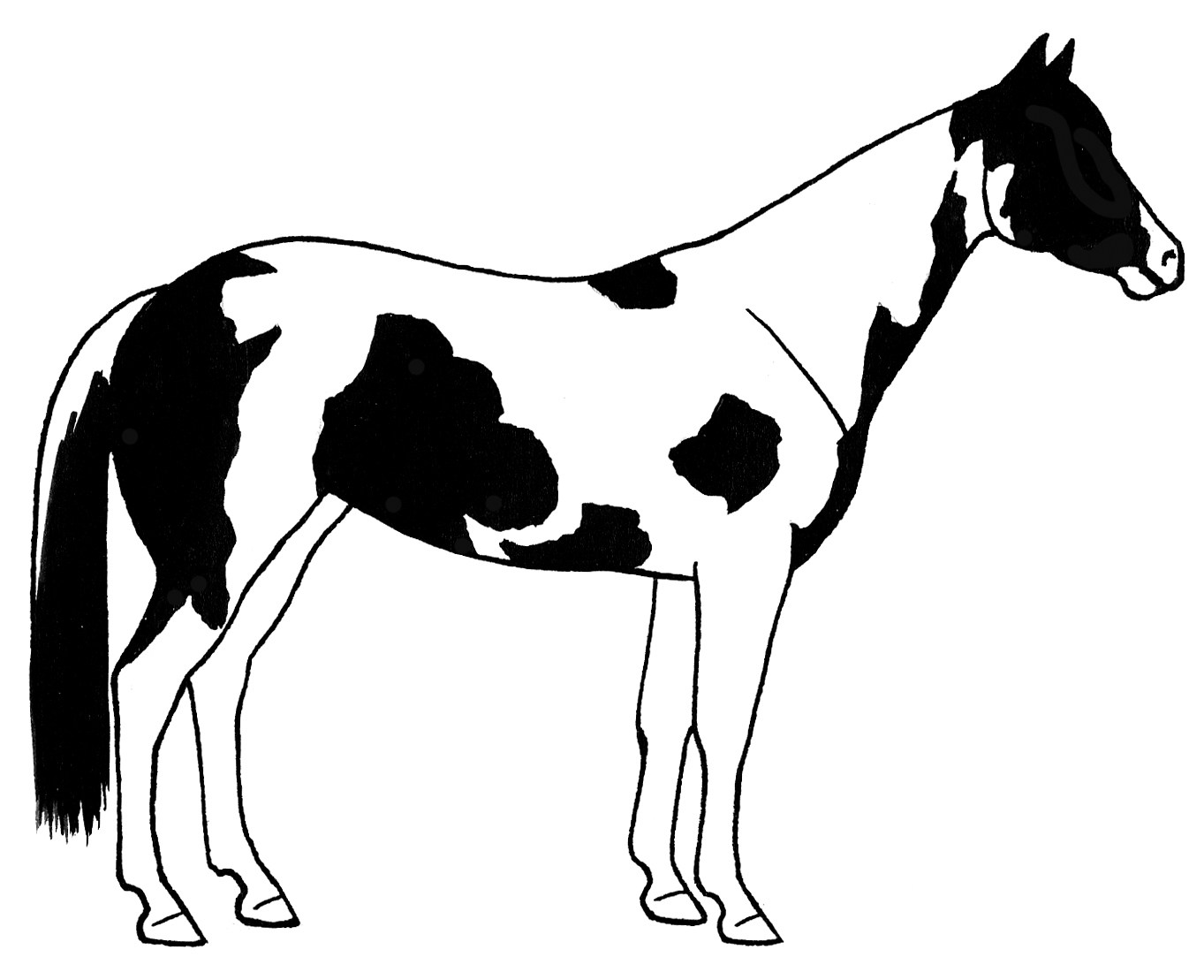 1363x1109 Paint Horse Clipart Clipart Portal