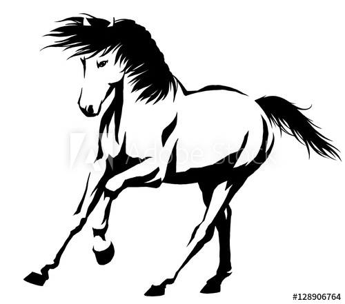 500x441 Black And White Linear Paint Draw Horse Illustration