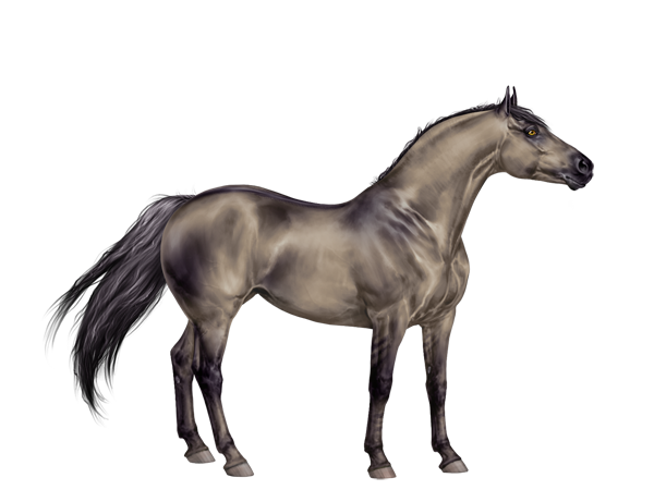 600x450 Baf's Spotted Paints