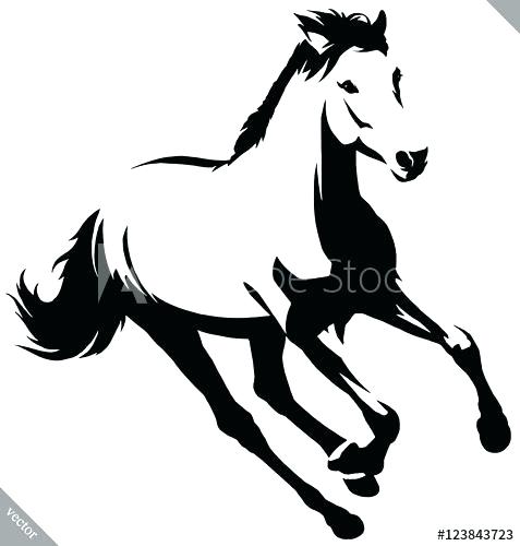 477x500 Black And White Horse Head Drawings How To Draw A Jumping