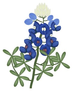 255x309 Pracken's Paint Shop Pro Tutorials Bluebonnets