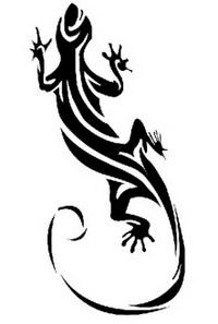 200x297 best paint shop pro images paint shop, photography video