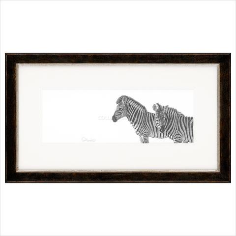 480x480 Clive Meredith Original Drawing, Graphite On Paper Zebra Pair