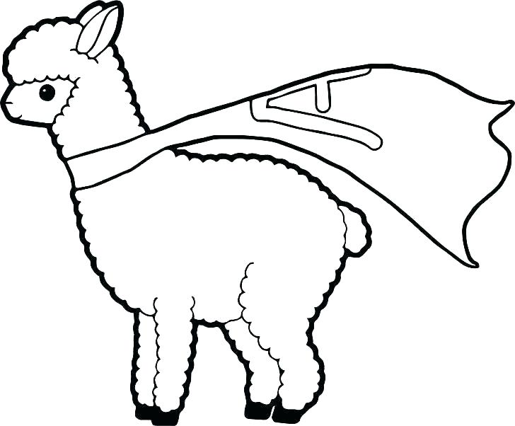 728x602 Llama Coloring