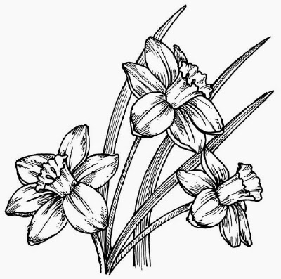 400x397 Flowers Drawing Sketching