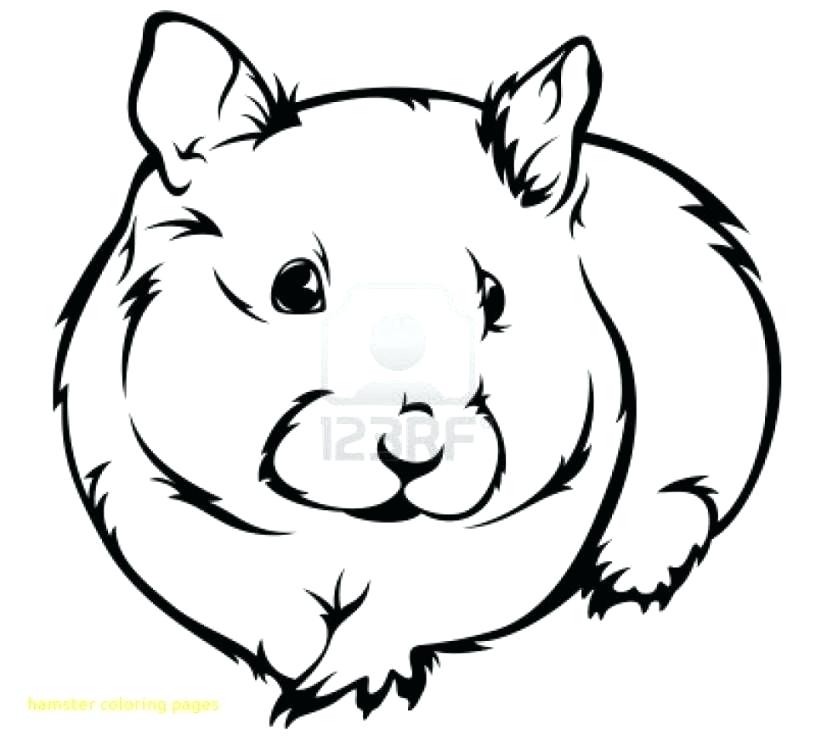 816x743 Hamster Coloring Pages Free Printable Pet Coloring Pages Princess