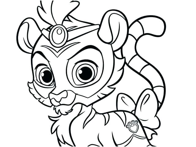 640x480 Coloring Pages Pets Cat Colouring