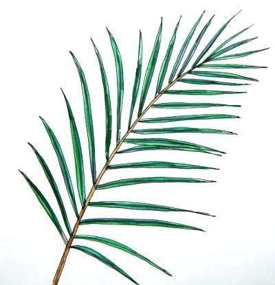 400x415 How To Draw Leaves On A Tree Draw A Tree Easily How To How Do You