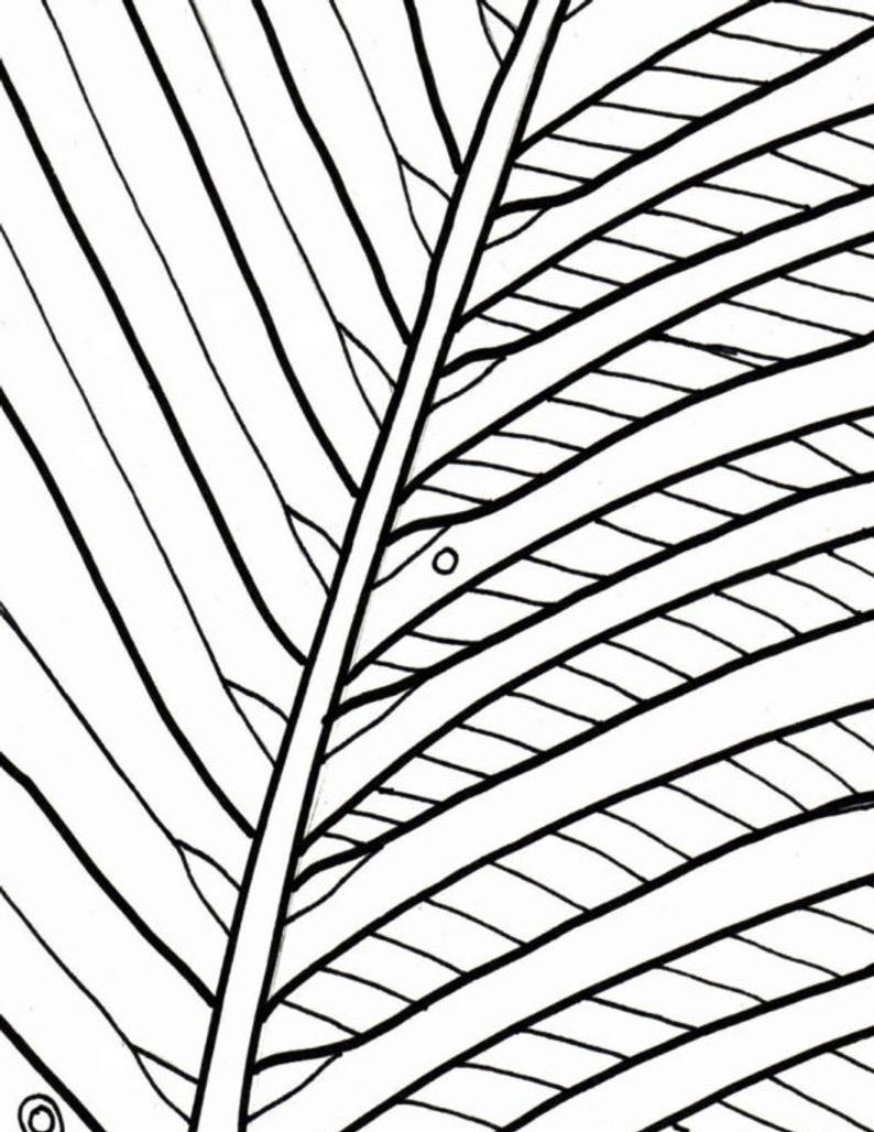 Palm Branch Drawing | Free download on ClipArtMag