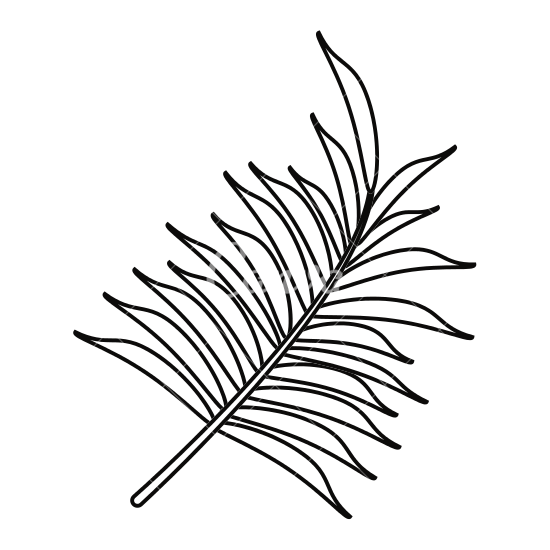 550x550 Palm Leaf Drawing Transparent Png Clipart Free Download