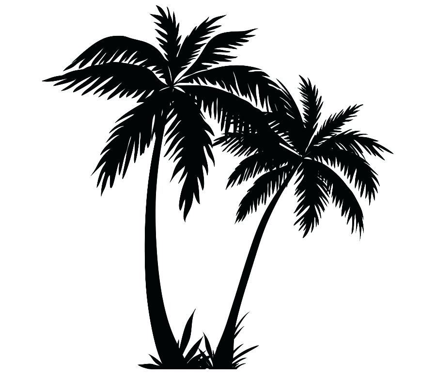 900x780 Drawing Palm Trees